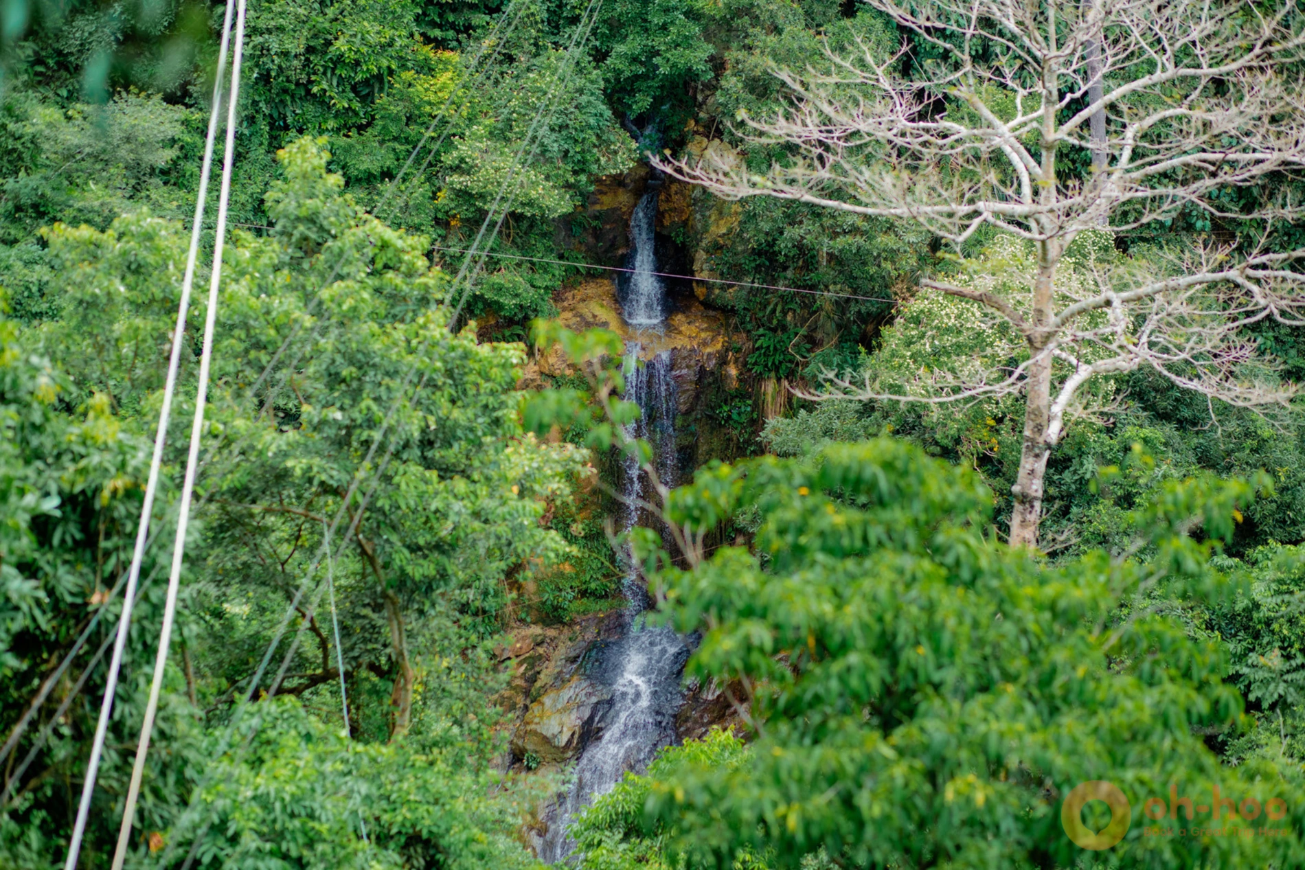 Tree Bridge Zipline Samui – Canopy Adventure