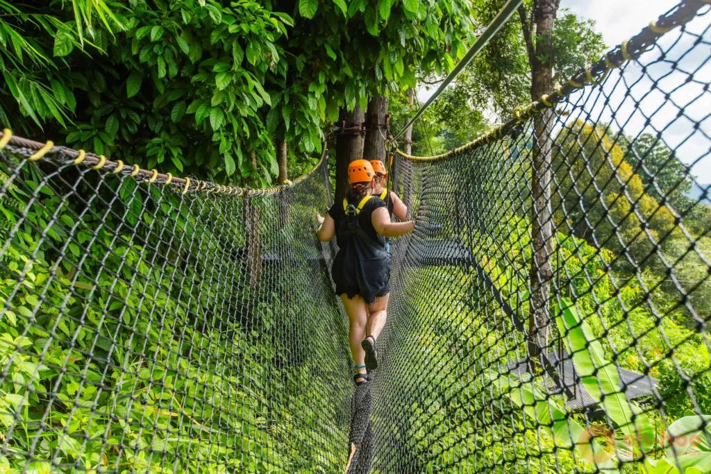 A visitor crossing a rope-and-wood sky bridge through the green jungle canopy on a Phuket zipline course