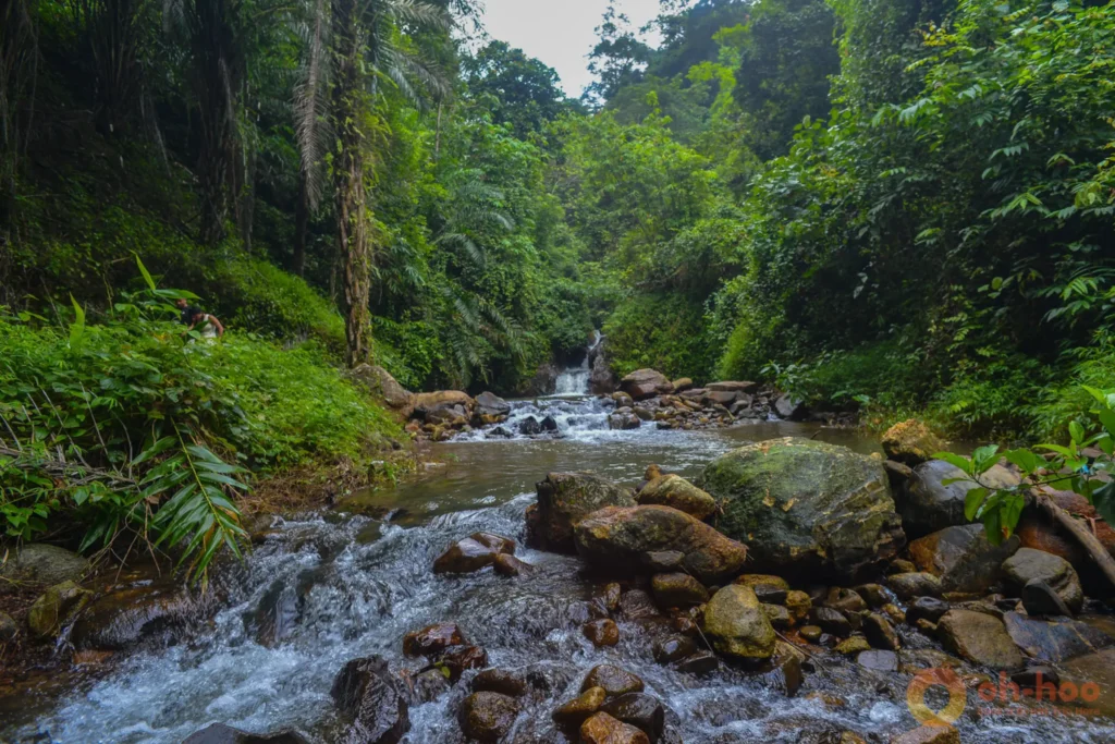 A small jungle waterfall flowing over rocks into a clear forest stream near Khao Lak, a swim stop on the rafting tour