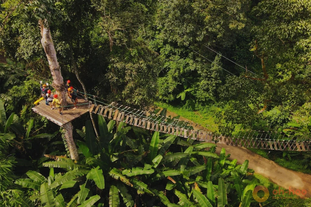 Aerial view of wooden canopy walkways and tree platforms suspended above tropical forest