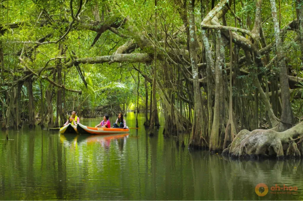 Little Amazon canoeing through banyan-lined waterways in Takua Pa, one of the peaceful things to do in Khao Lak.