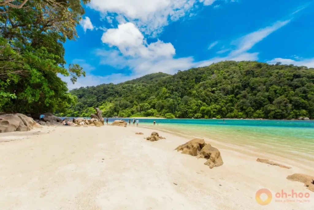 Pristine white sand beach, turquoise water, and lush tropical forest in the Surin Islands, Thailand.