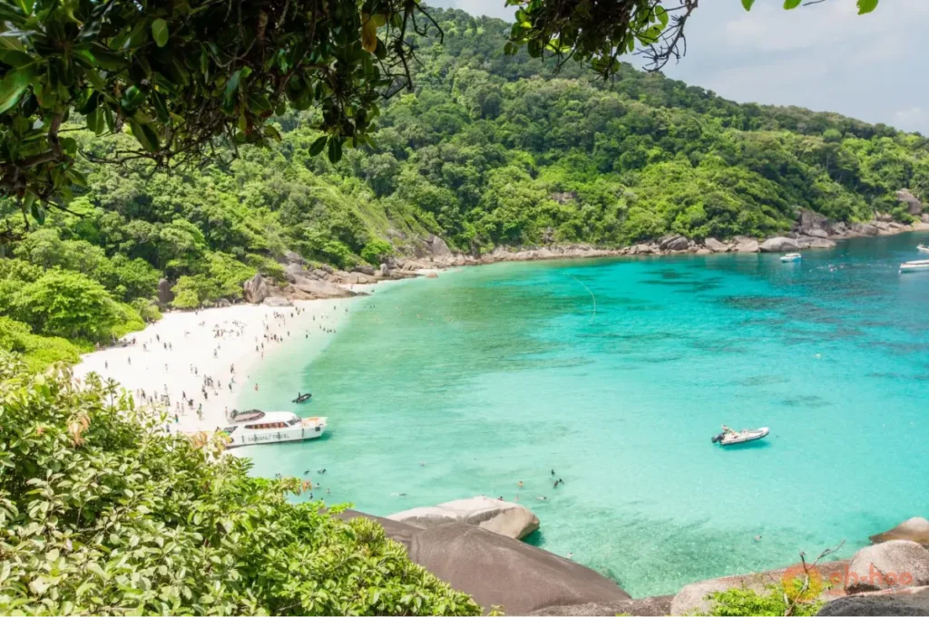 Turquoise bay, white sand beach, and forested hills in the Similan Islands near Khao Lak.