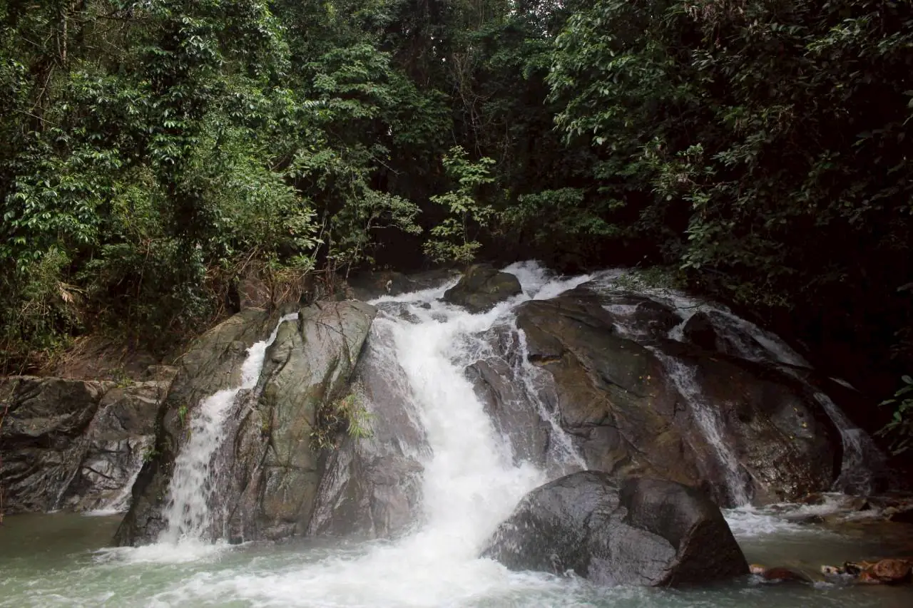 Khao Lak temple bamboo rafting tour