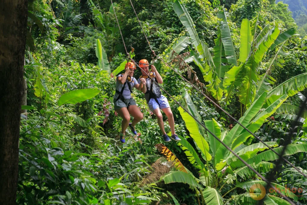 Tourist ziplining through the lush jungle canopy during an adventurous activity in Koh Samui.