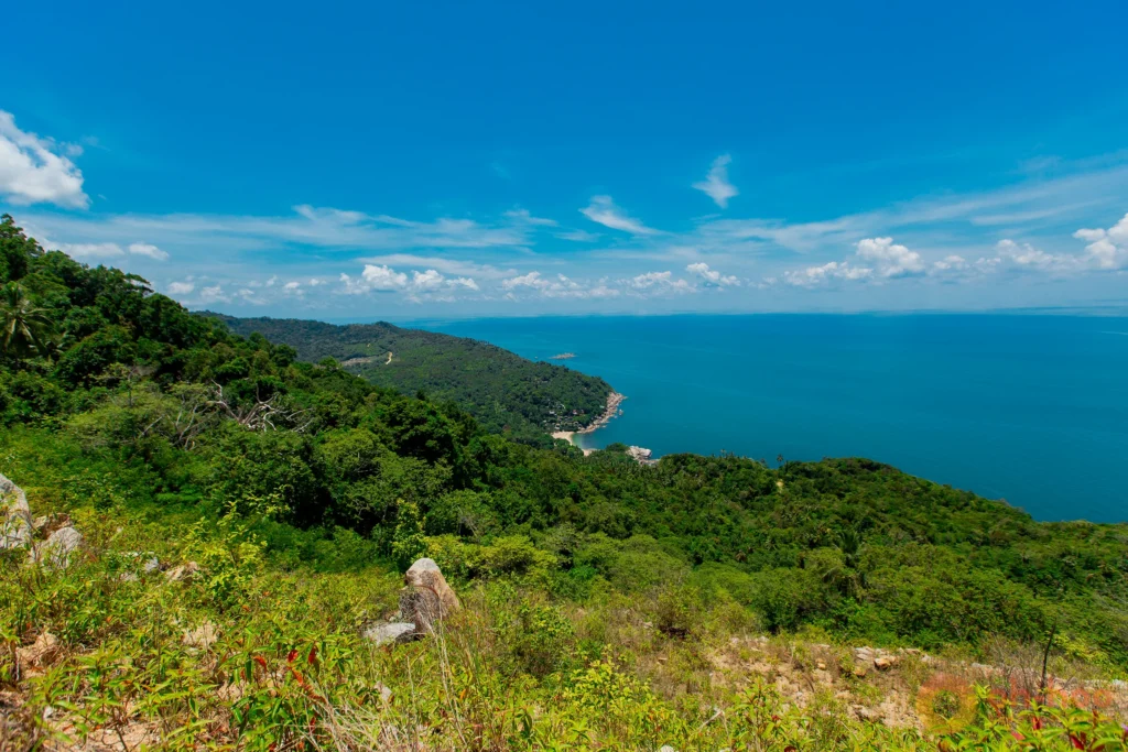 Panoramic viewpoint over the lush tropical rainforest and coastline of Koh Phangan.
