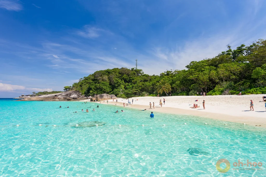 A person on white sand beach seen through tropical trees at Similan Islands.