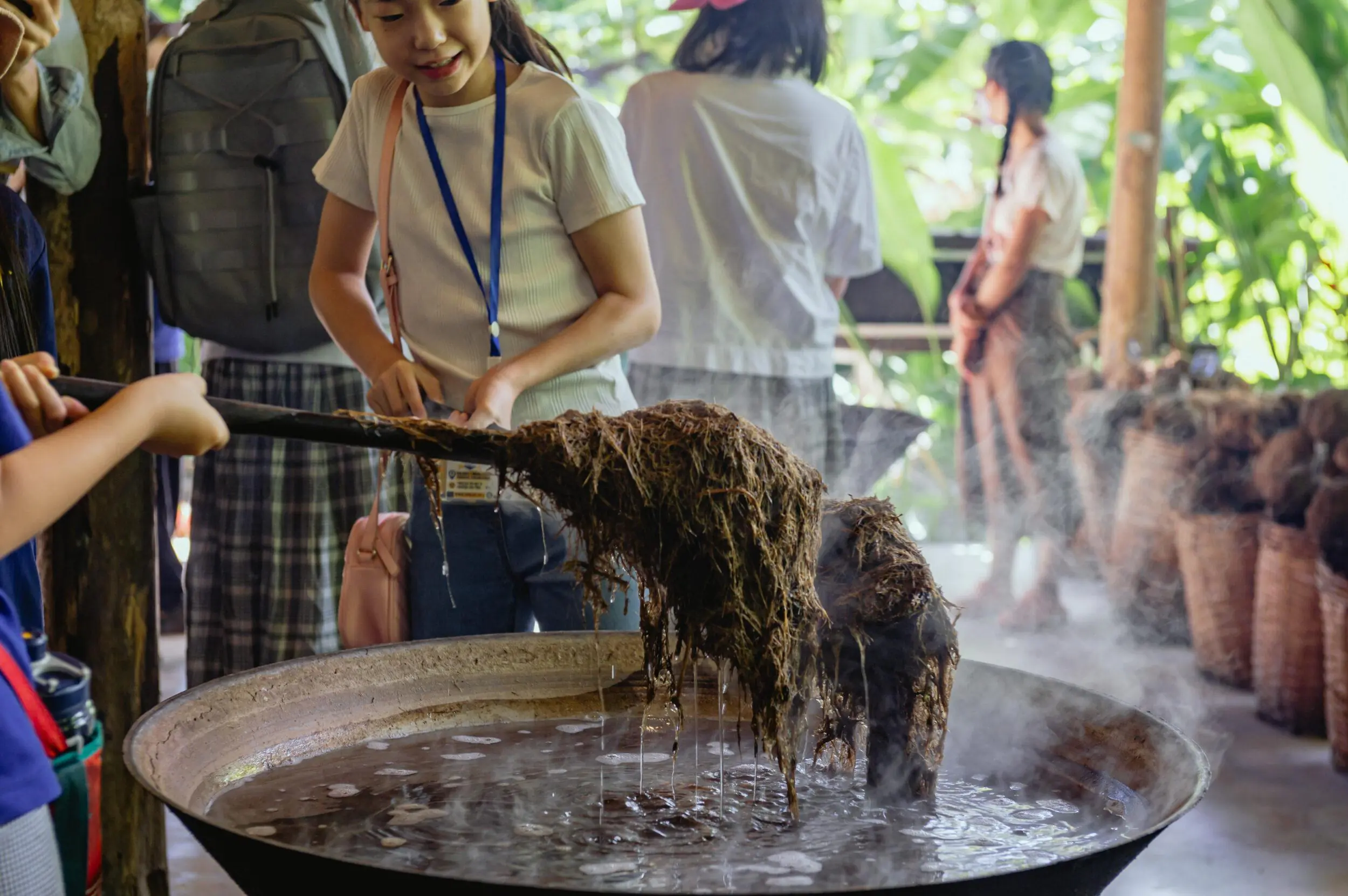 Chiang Mai Elephant Poop Paper Experience