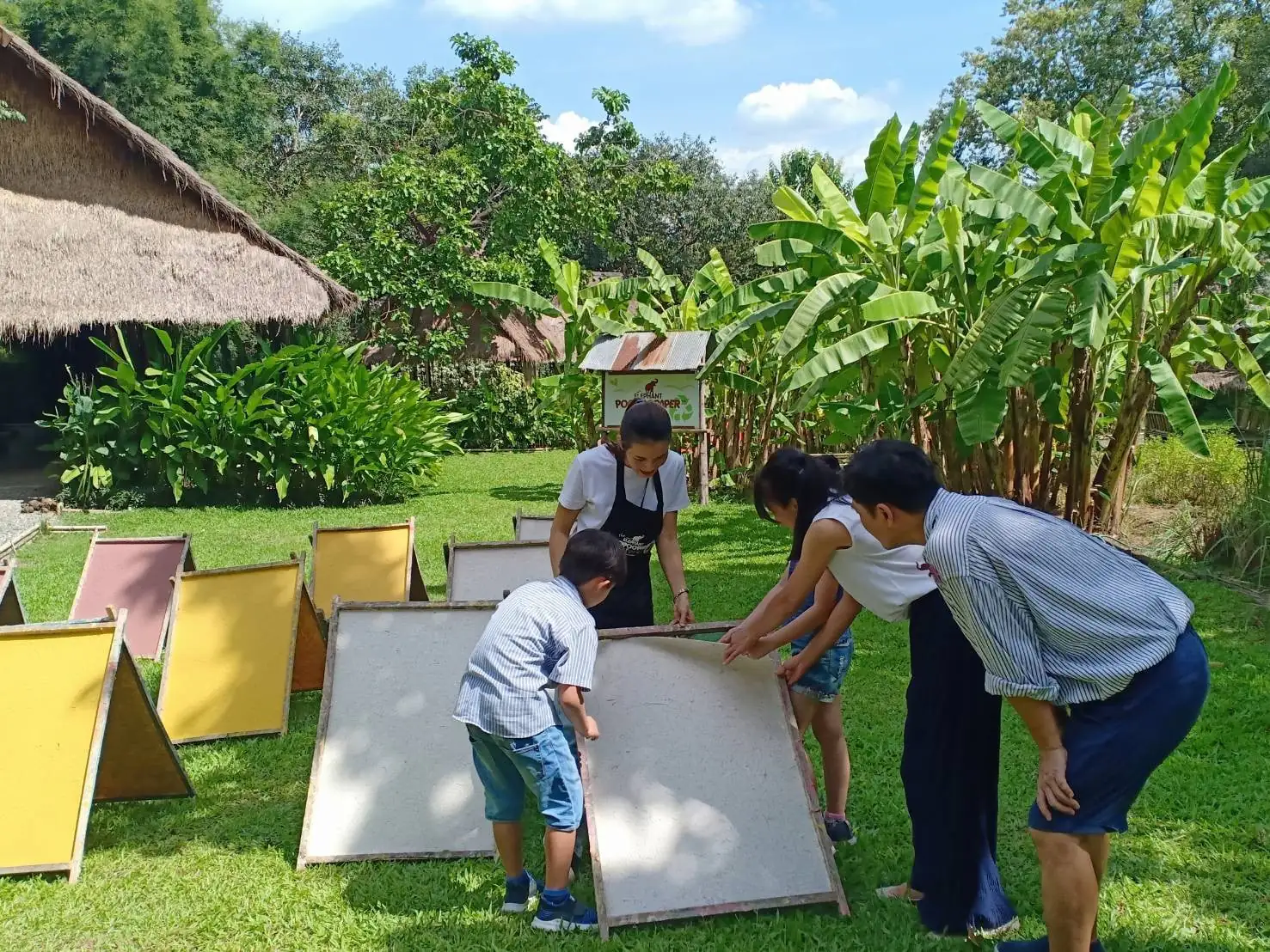 Chiang Mai Elephant Poop Paper Experience