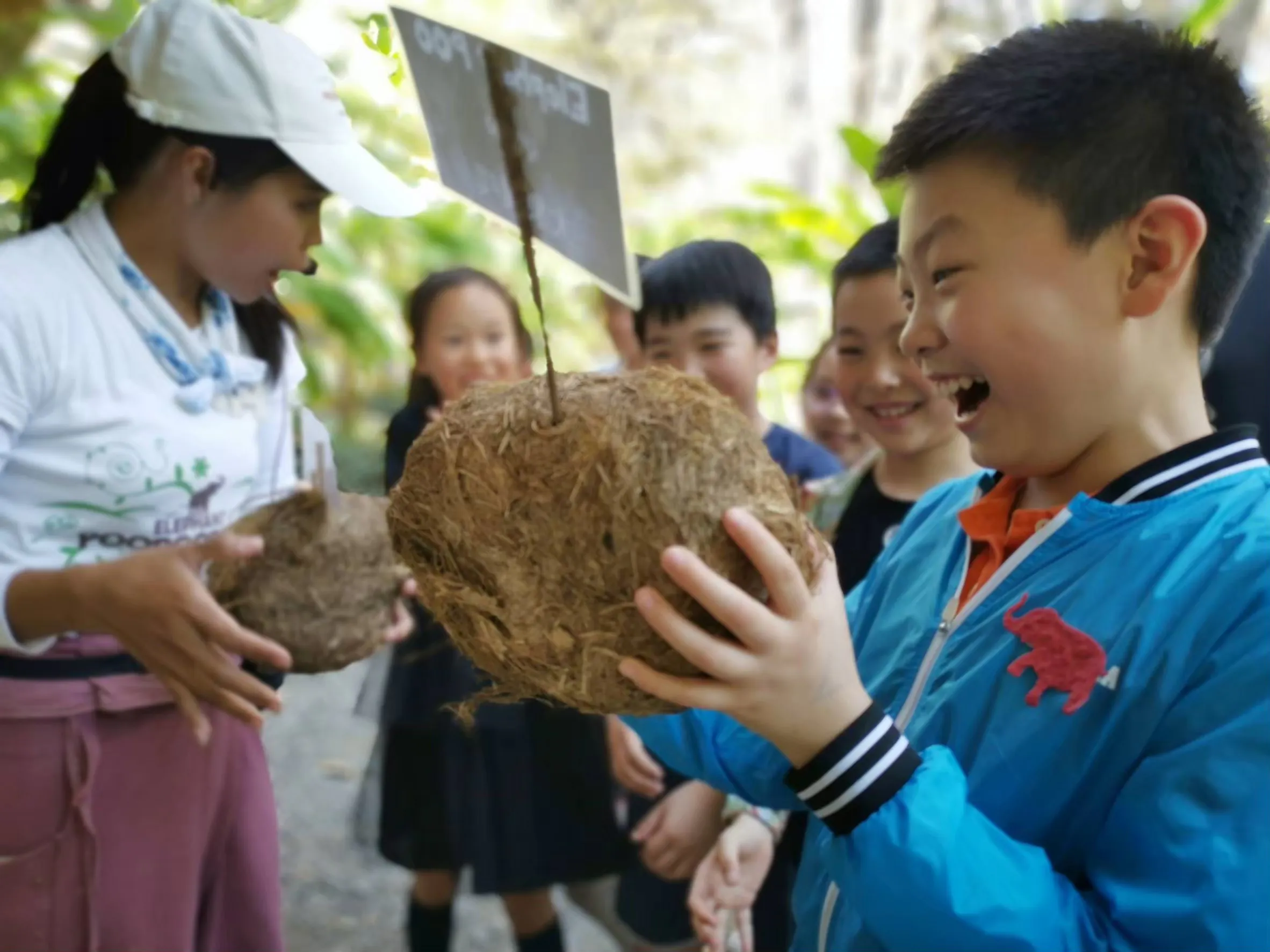 Chiang Mai Elephant Poop Paper Experience