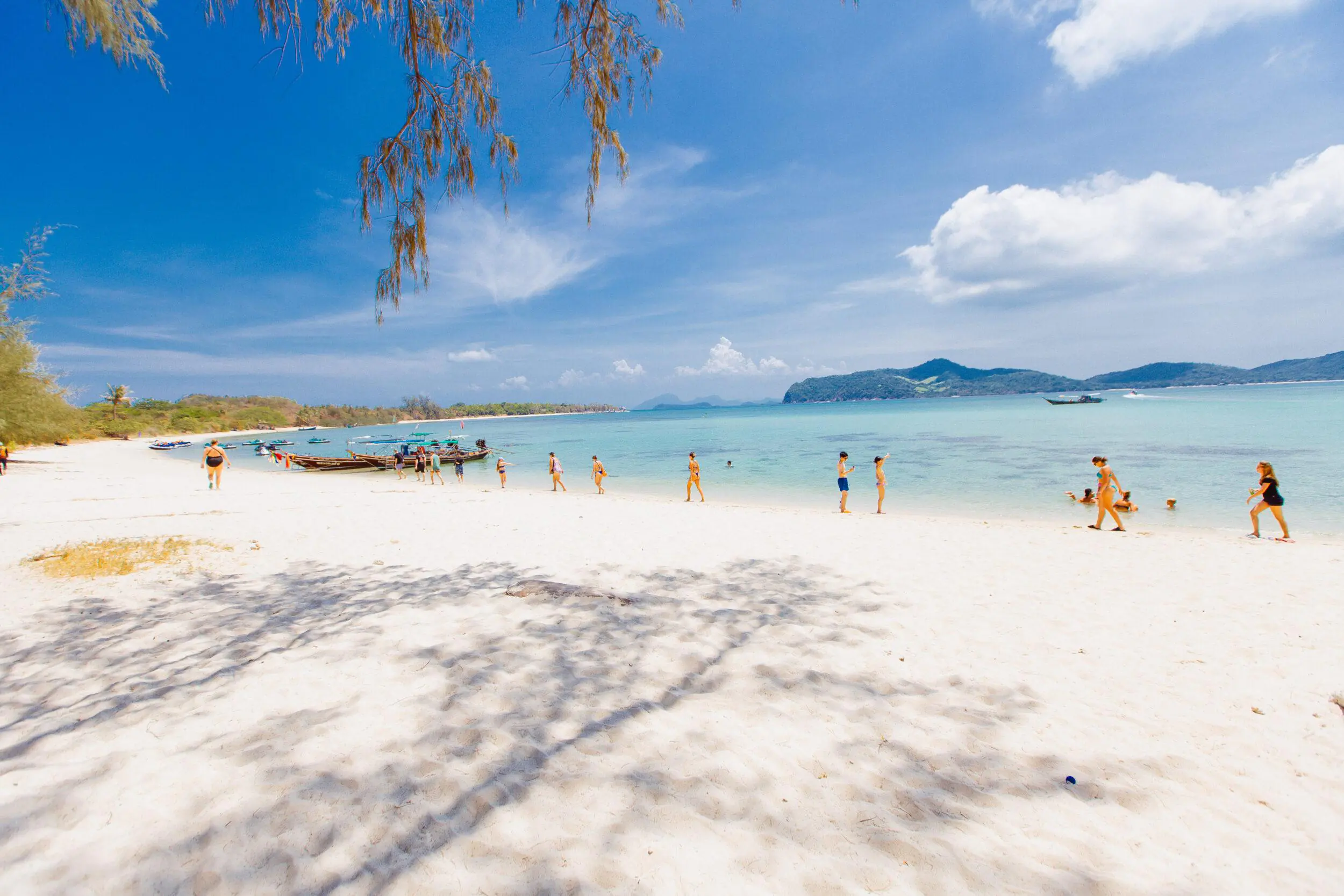 Koh Samui Jet Ski Pig Island Tour