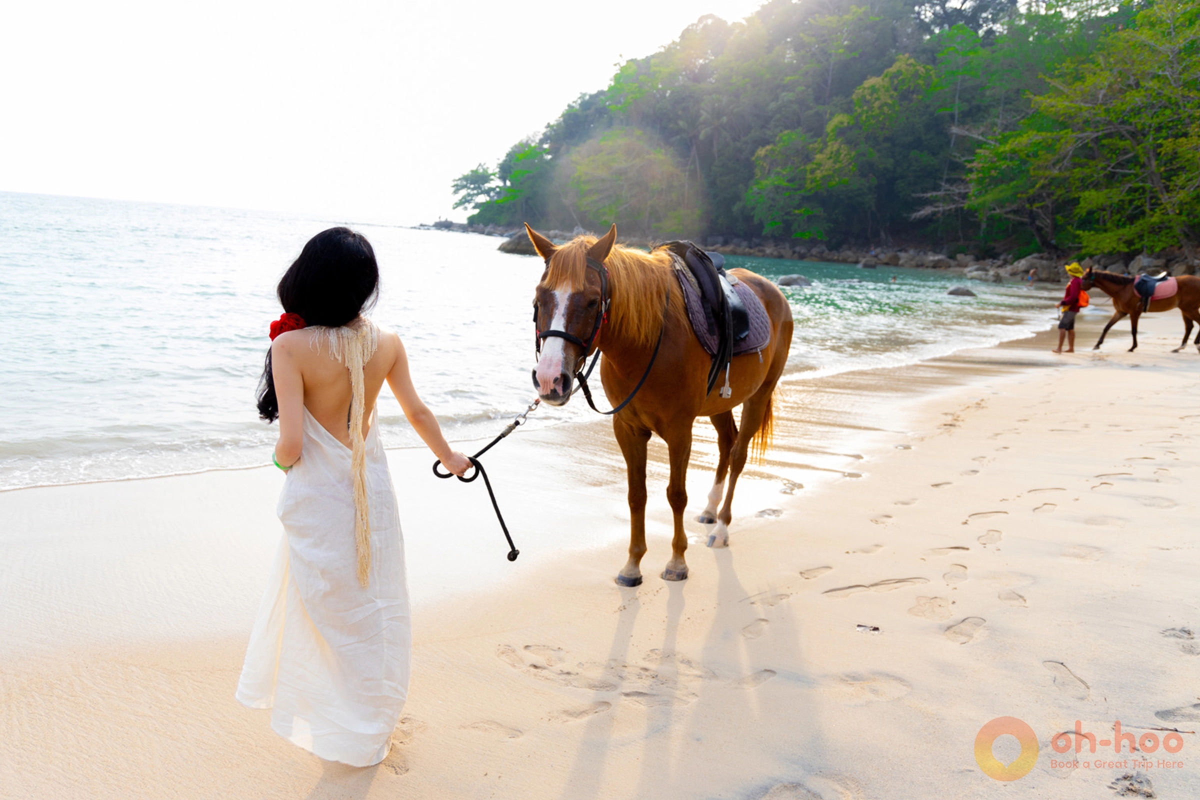 Horse walking along Kamala Beach at golden hour with the sun setting over the Andaman Sea