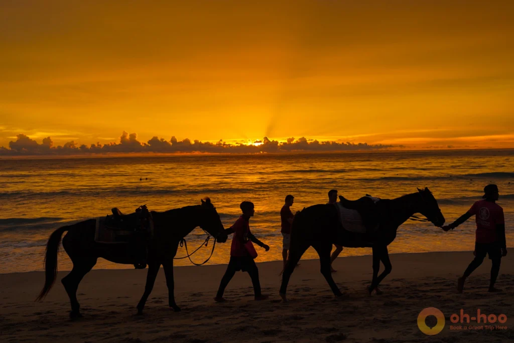 Silhouetted guides walking horses along Kamala Beach during a golden sunset in Phuket