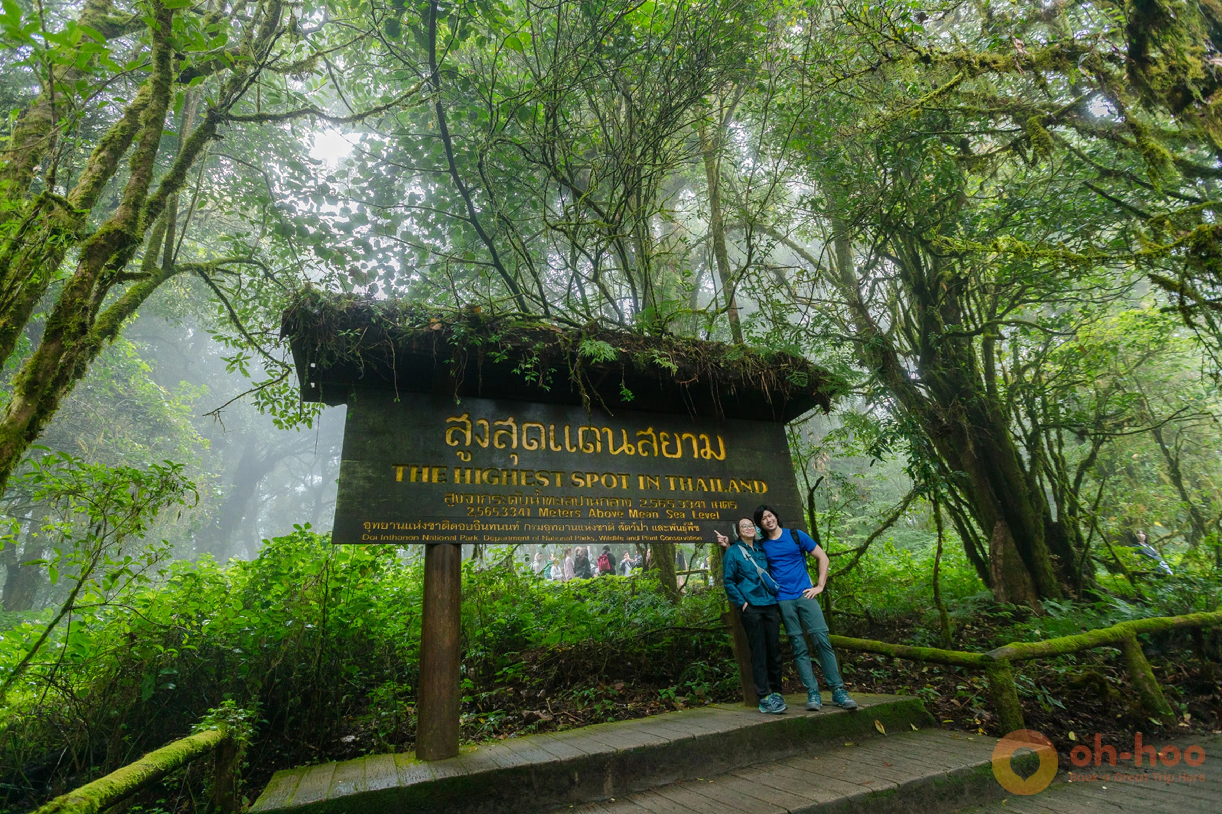 Mist drifting through mossy cloud forest near the summit of Doi Inthanon in Chiang Mai
