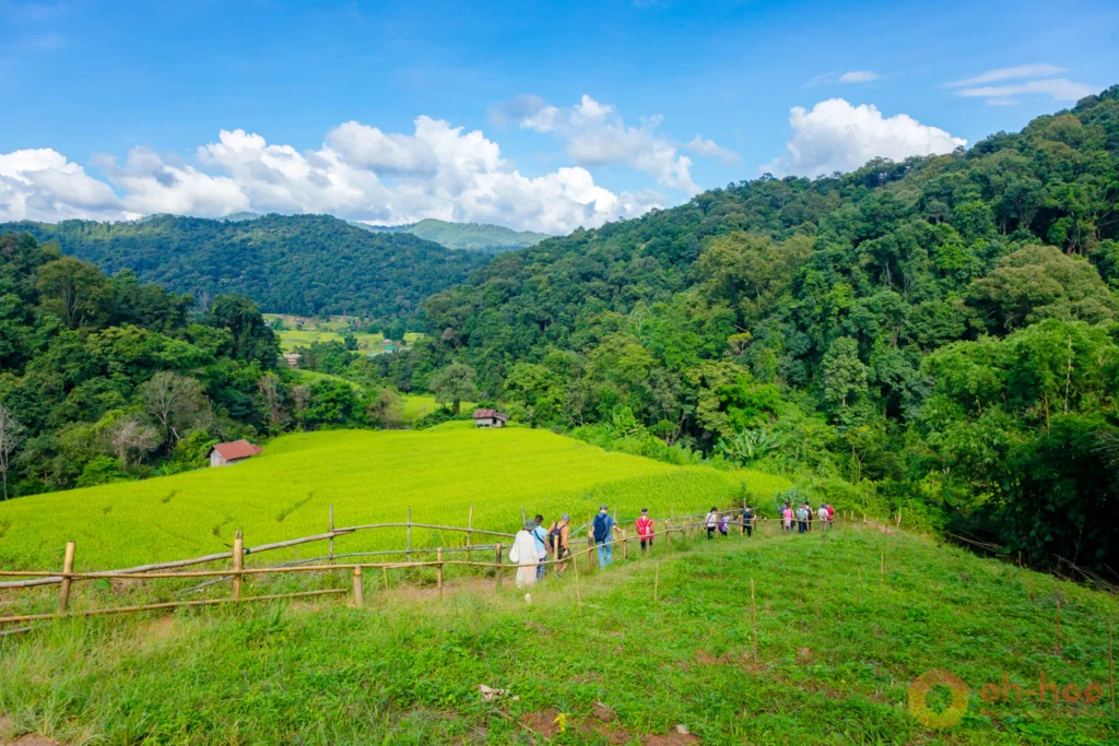 Wooden boardwalk winding through the Kew Mae Pan nature trail on Doi Inthanon