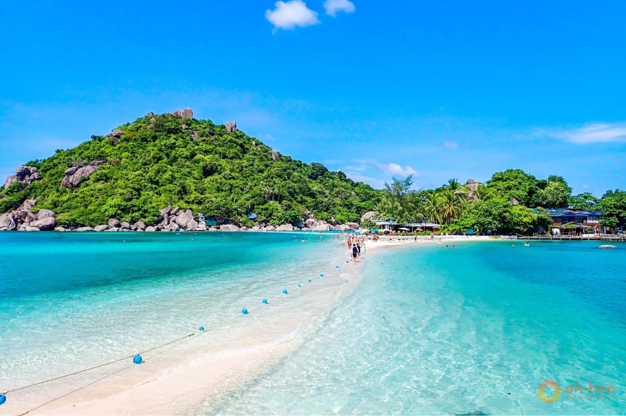 Koh Tao snorkeling and Koh Nang Yuan island day trip