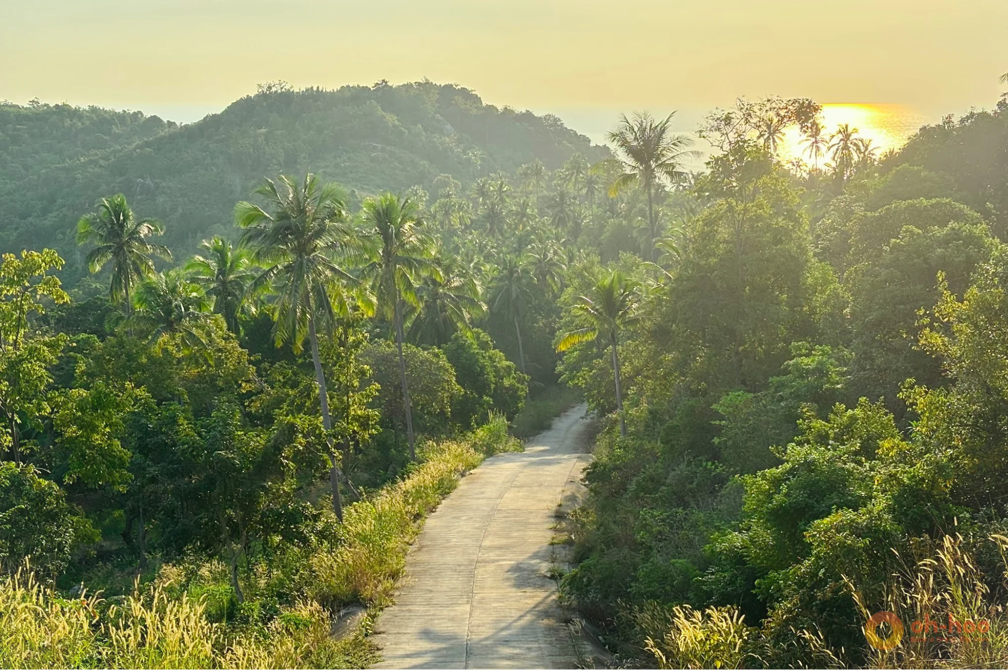 Morning road trip through the tropical interior of Koh Phangan