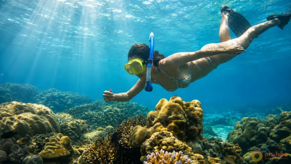 Koh Lipe snorkeling in low season with a snorkeler exploring coral reefs in clear tropical water