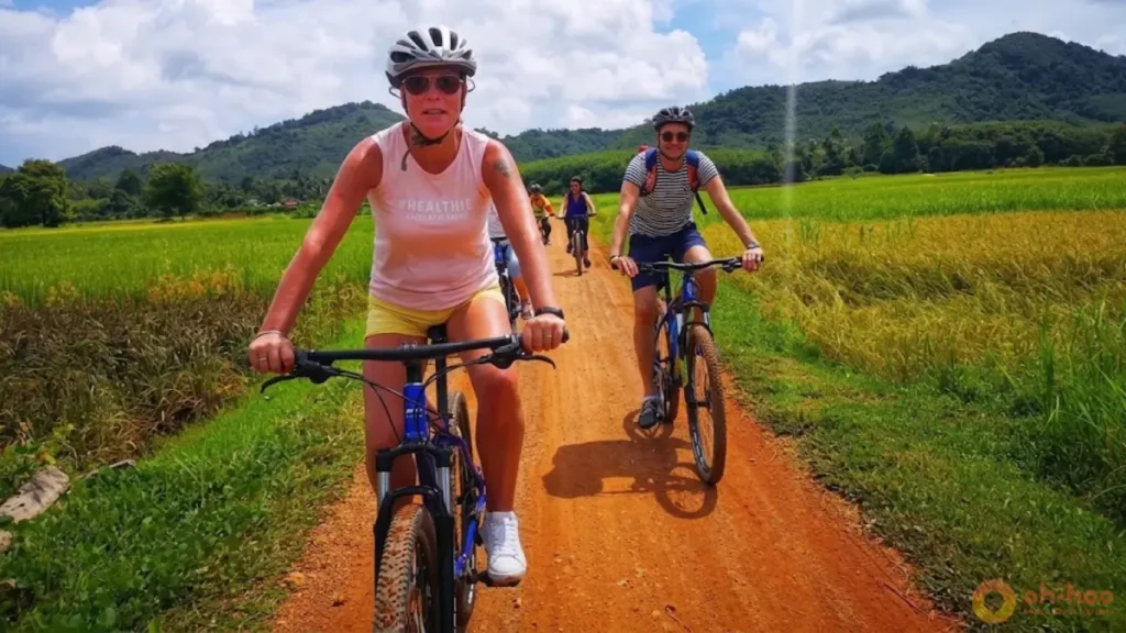 Cyclists riding along a quiet dirt road through koh yao noi rice fields with green paddies and forested hills.