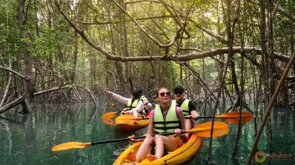 Kayakers paddling through narrow mangrove channels on Koh Yao Yai, one of the quiet koh yao yai things to do.
