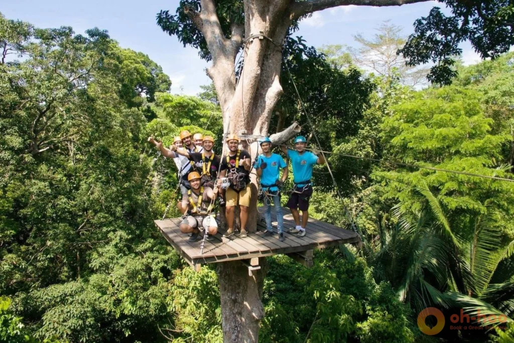 Wooden platform and sky bridge built between tall rainforest trees at a Phuket zipline park