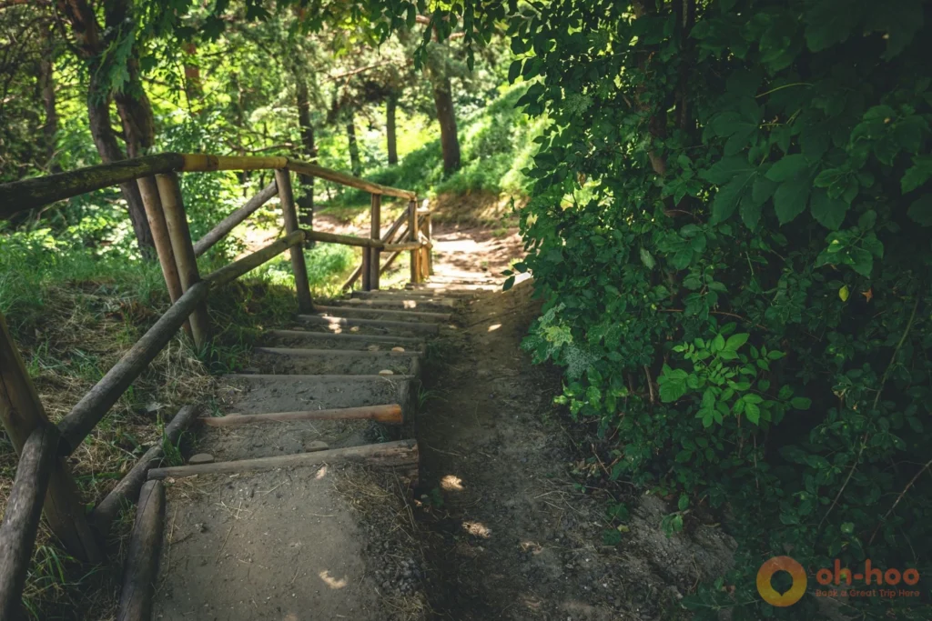 Forest trail with wooden steps leading up to Phaeng Waterfall on Koh Phangan