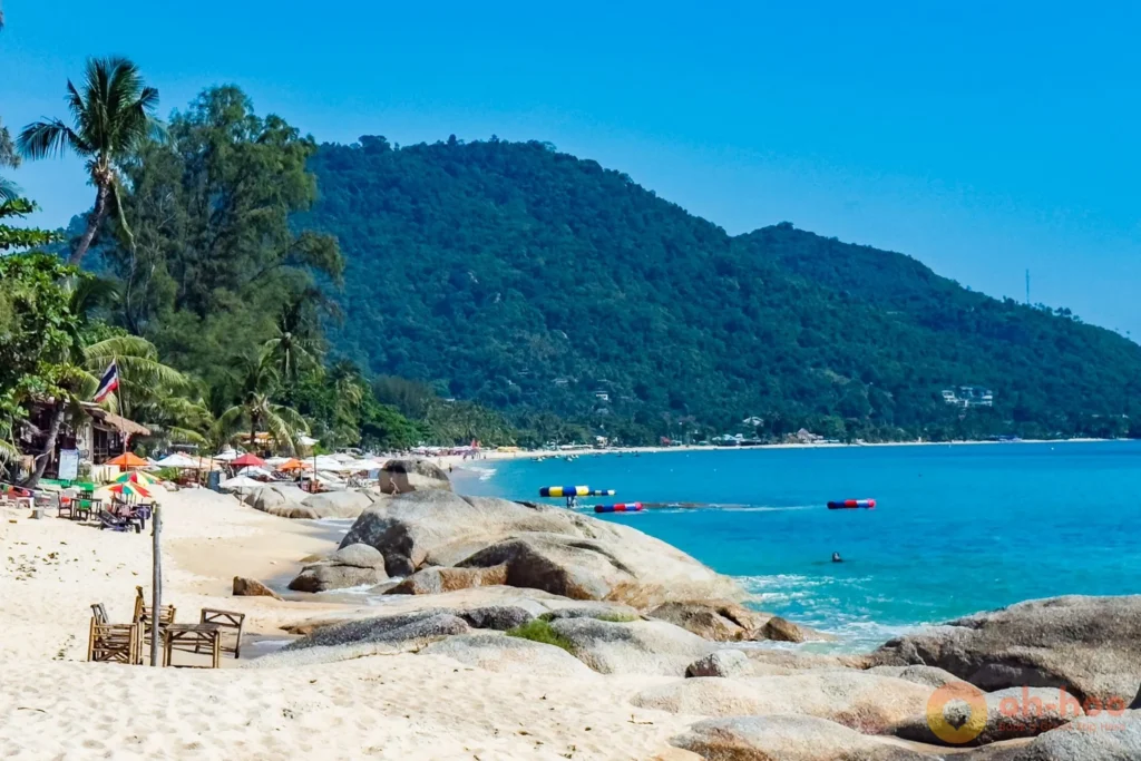 Calm turquoise water and coconut palms along a quiet beach in Koh Samui