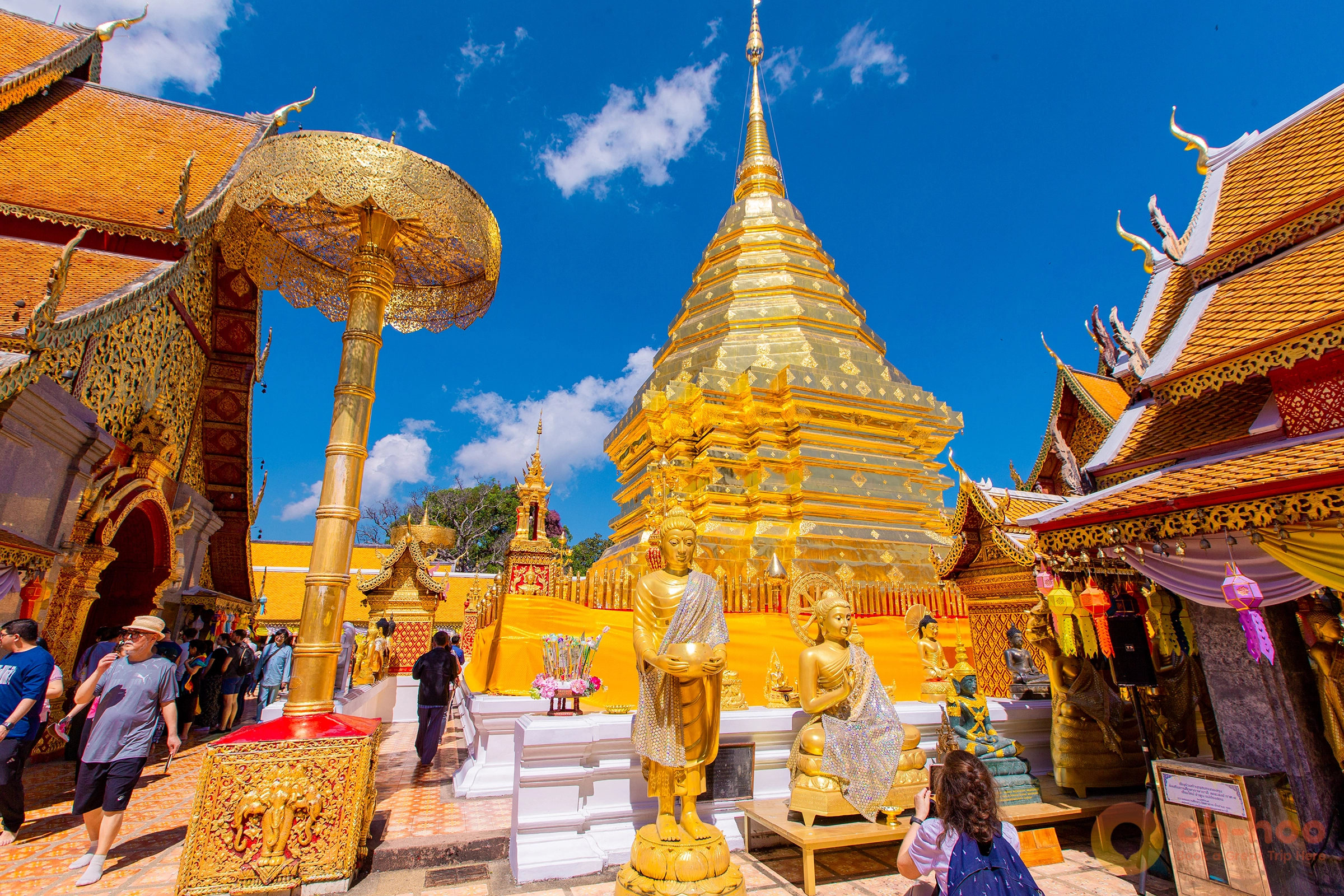 Golden chedi of Wat Phra That Doi Suthep against a clear blue sky during the cool season in Chiang Mai